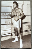 ALI, MUHAMMAD VINTAGE POSTCARD