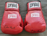 BYRD, CHRIS SIGNED FIGHT WORN BOXING GLOVES (2001-DAVID VEDDER FIGHT)