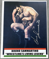 SAMMARTINO, BRUNO SIGNED PHOTO